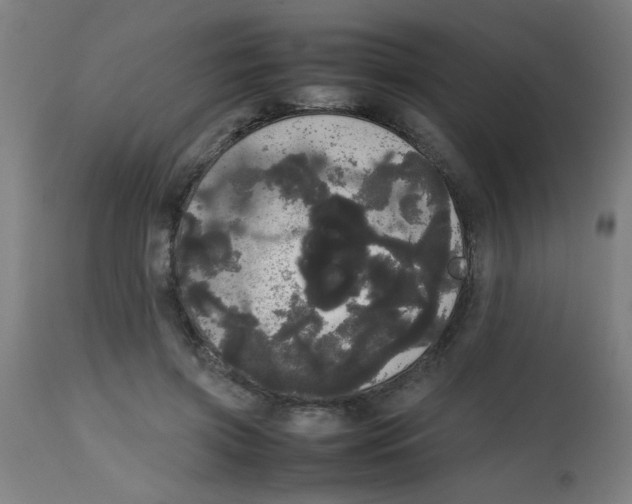 X0000113850549200910221421