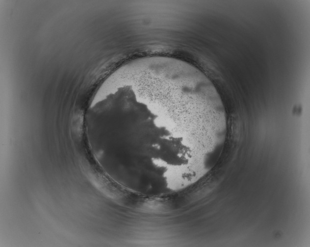 X0000113850550200910221421