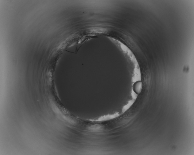 X0000113850551200910221421