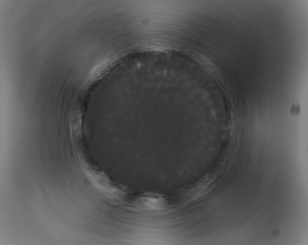 X0000113850552200910221421