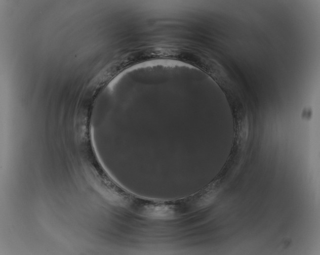 X0000113850553200910221421