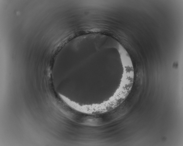 X0000113850555200910221421