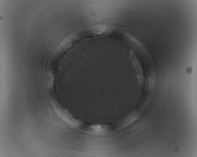 X0000113850558200910221421