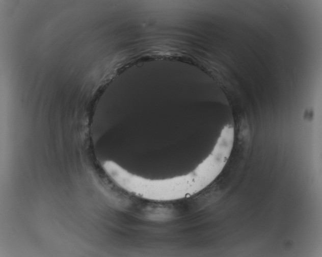 X0000113850559200910221421