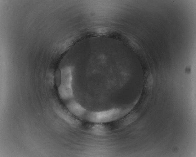 X0000113850562200910221421