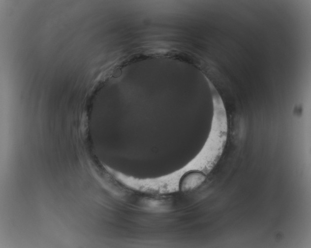 X0000113850563200910221421