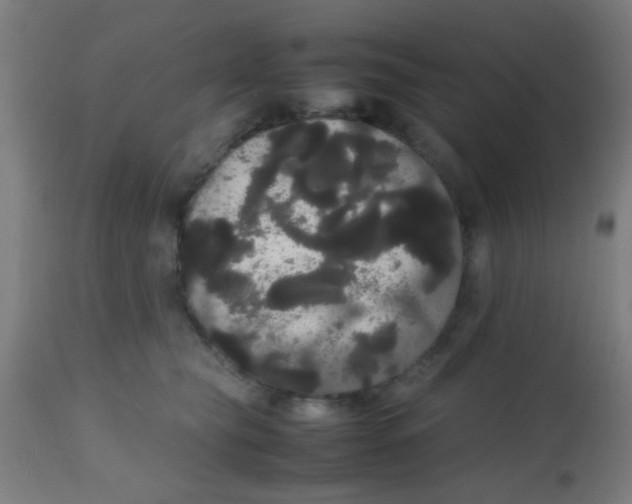 X0000113850565200910221421