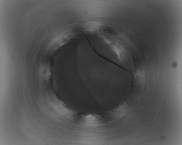 X0000113850566200910221421