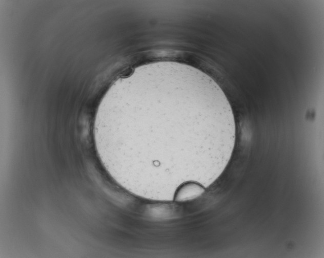 X0000113850567200910221421