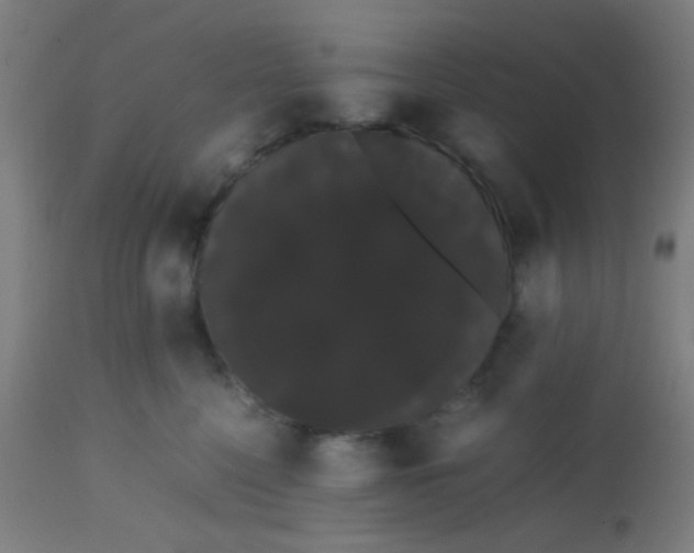 X0000113850568200910221421