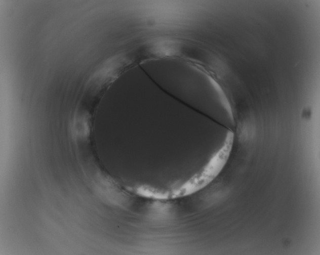 X0000113850570200910221421