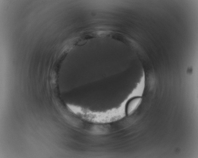 X0000113850571200910221421