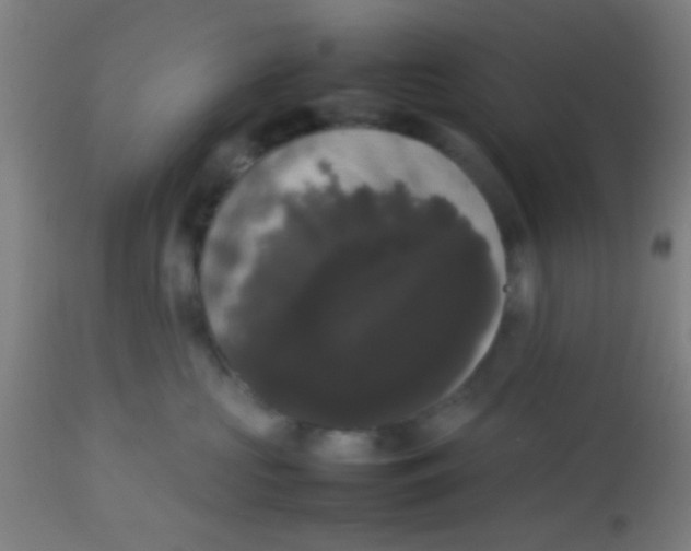 X0000113850573200910221421