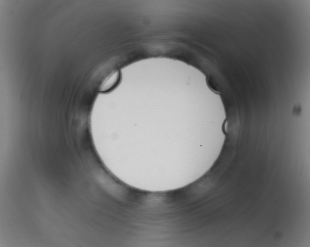 X0000113850574200910221422