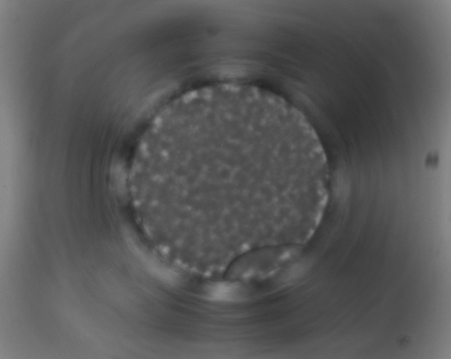 X0000113850575200910221422