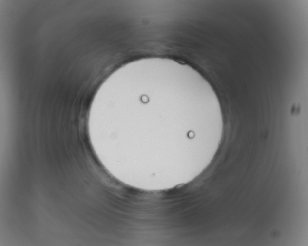 X0000113850576200910221422