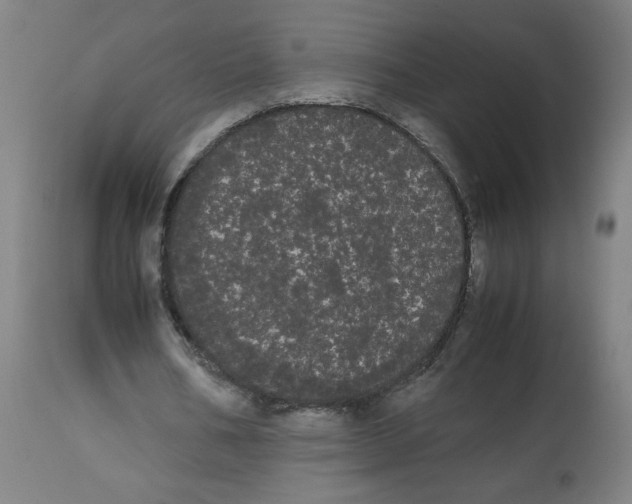 X0000113850578200910221421