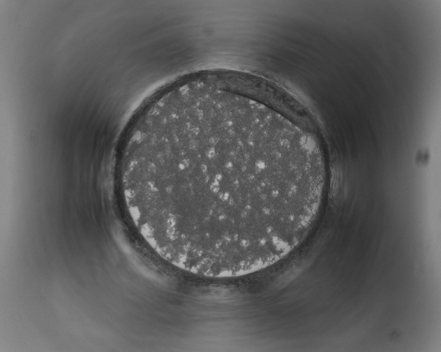 X0000113850580200910221421