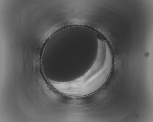 X0000113850581200910221421