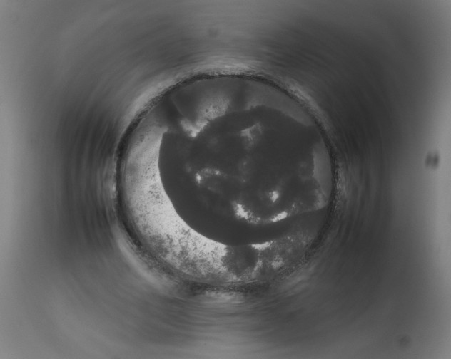 X0000113850582200910221421