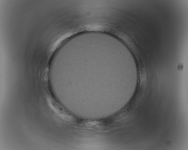 X0000113850583200910221421