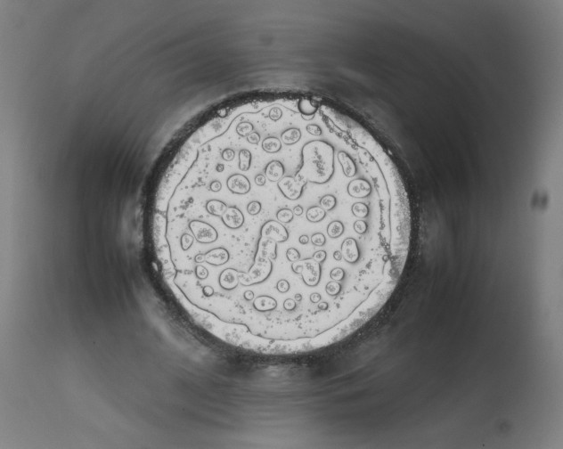 X0000113850584200910221421