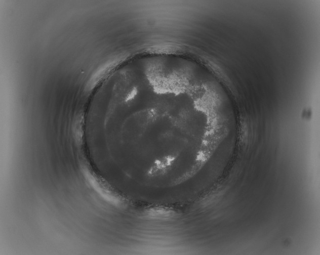 X0000113850586200910221421