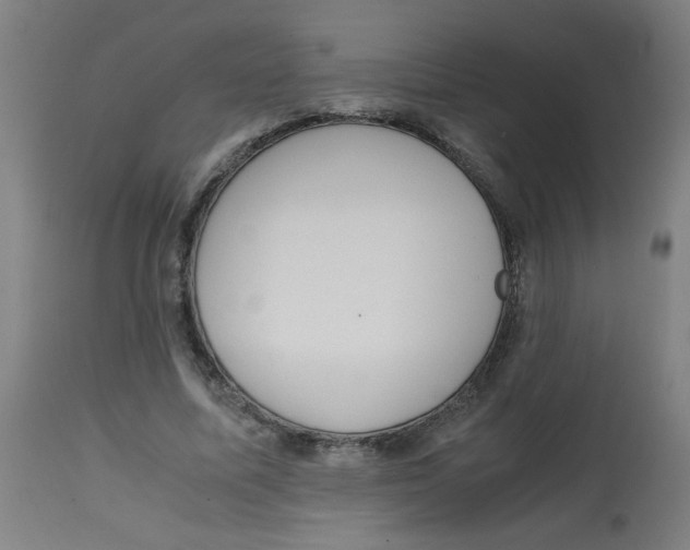 X0000113850587200910221421