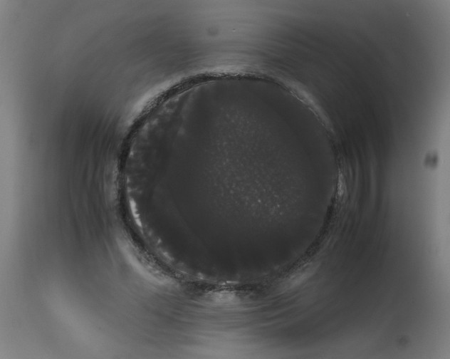 X0000113850588200910221421