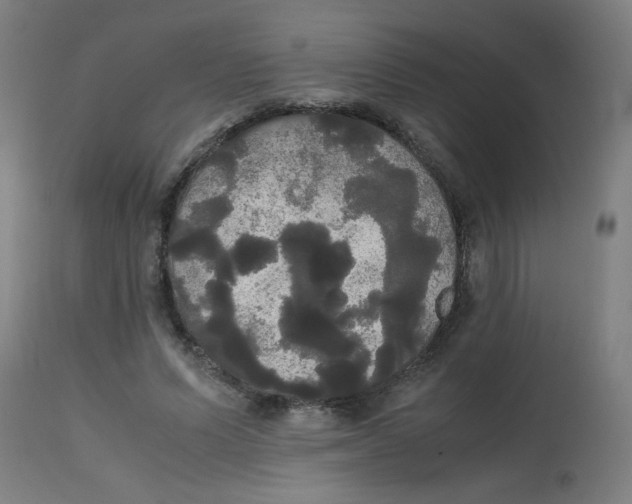 X0000113850591200910221421