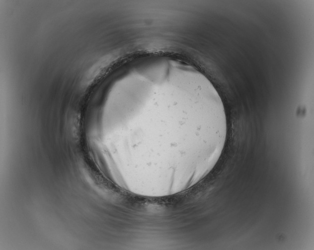 X0000113850592200910221421