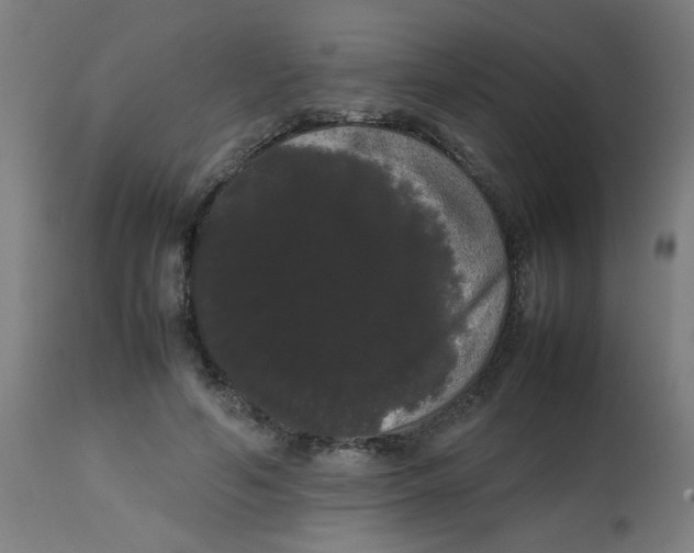 X0000113850594200910221421