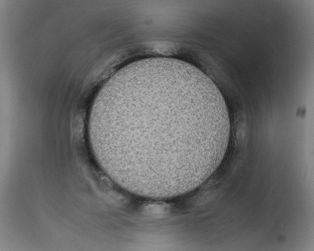 X0000113850595200910221421