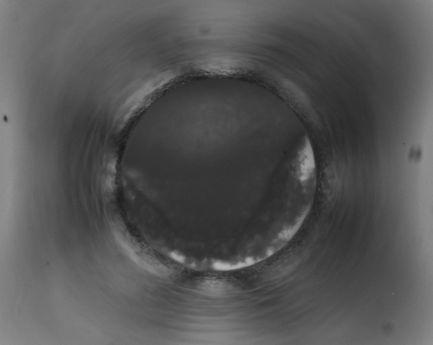 X0000113850596200910221421