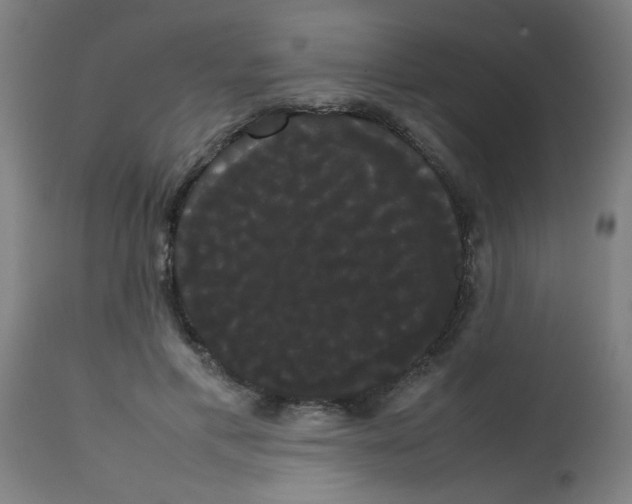 X0000113850597200910221421