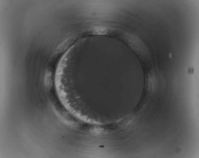 X0000113850598200910221421