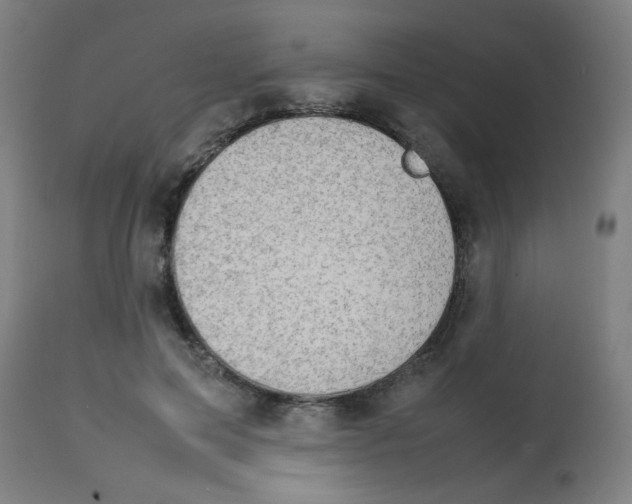 X0000113850599200910221421