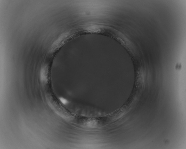 X0000113850600200910221421