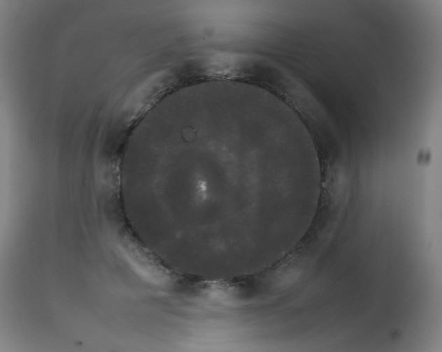 X0000113850601200910221421