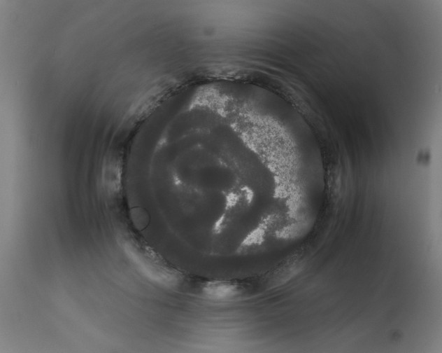 X0000113850602200910221421