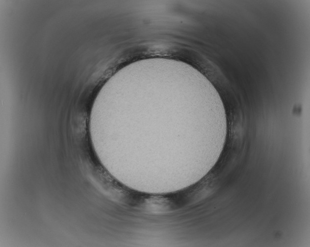 X0000113850603200910221421