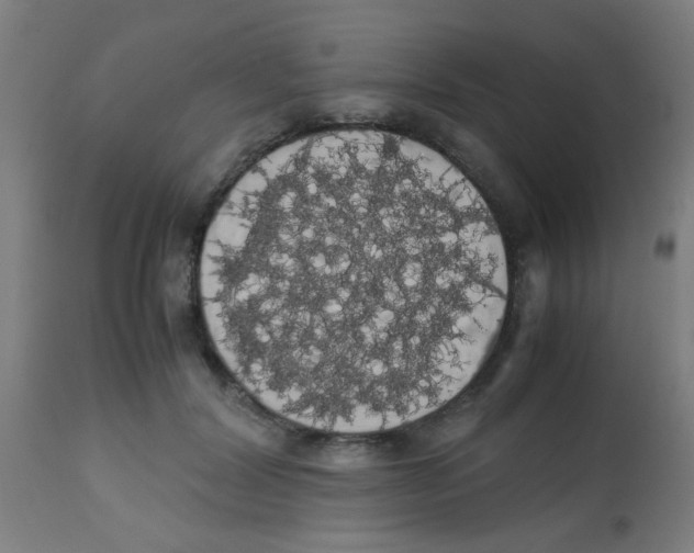 X0000113850604200910221420