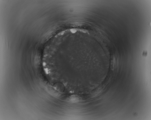 X0000113850608200910221420