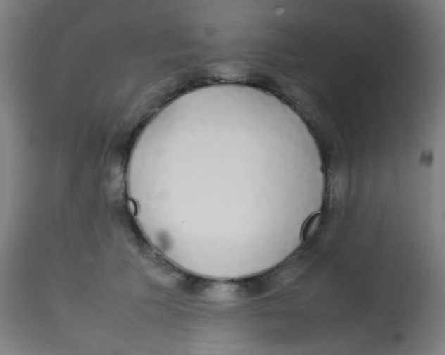 X0000113850609200910221420