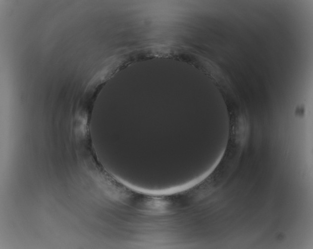 X0000113850610200910221420