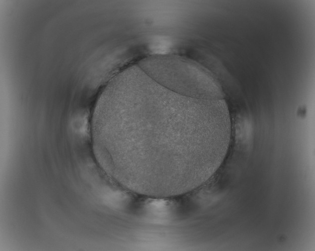 X0000113850611200910221420