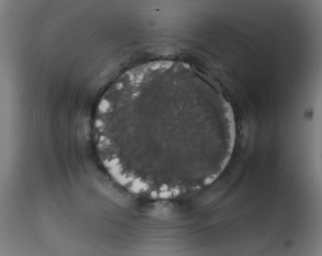 X0000113850612200910221420