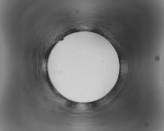 X0000113850613200910221420