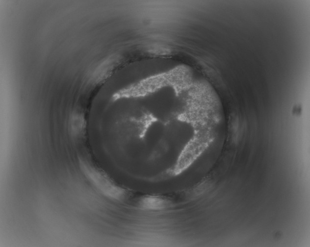 X0000113850614200910221420