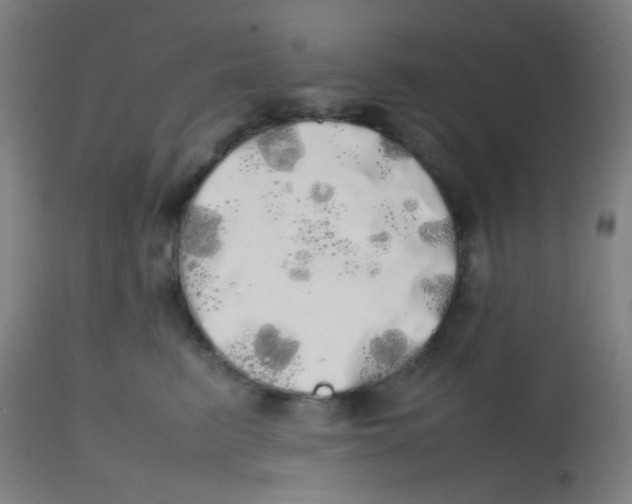 X0000113850615200910221420